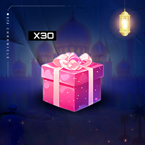 Item Deluxe Gift Box x30